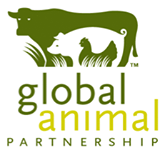 global-animal