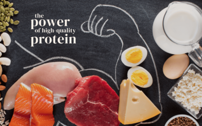 The Power of High-Quality Protein