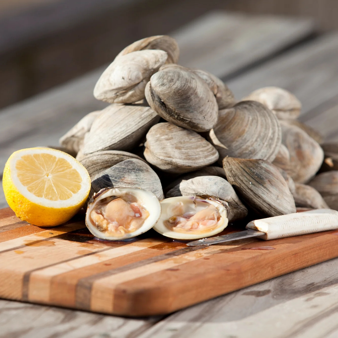Seafood - Little Neck Clams