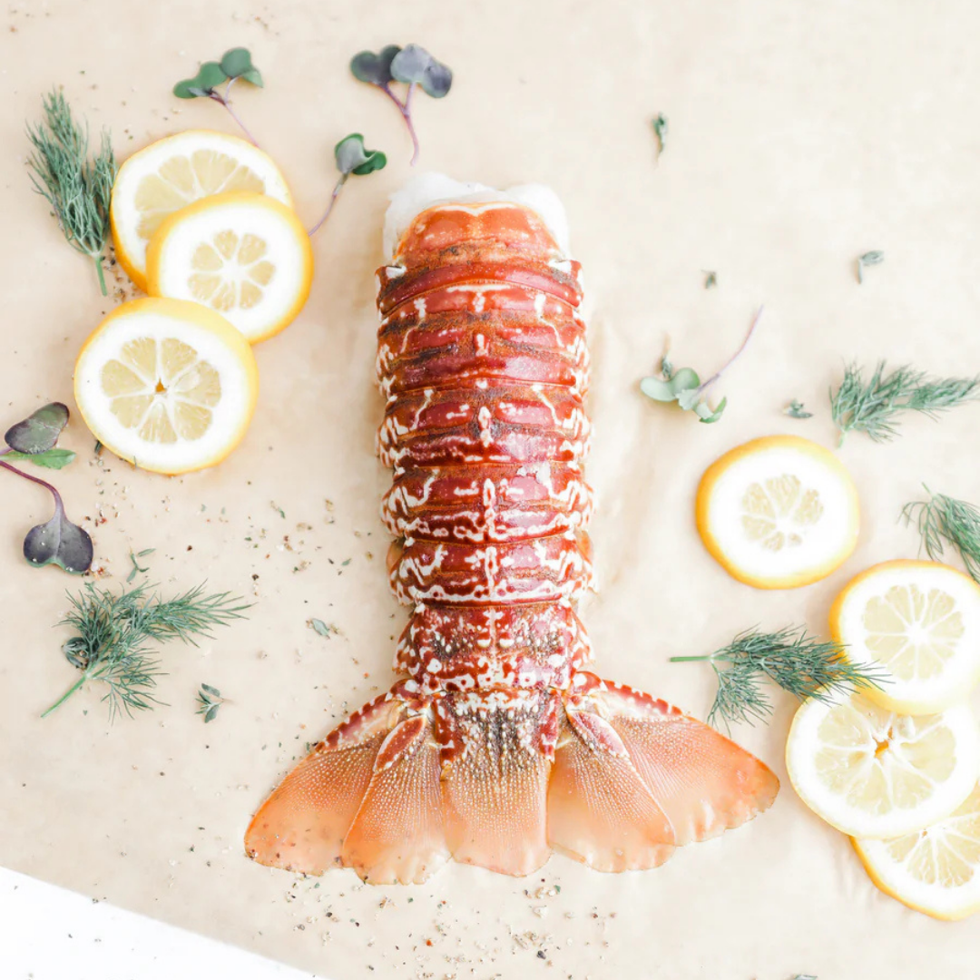 Seafood - Lobster Tail South African