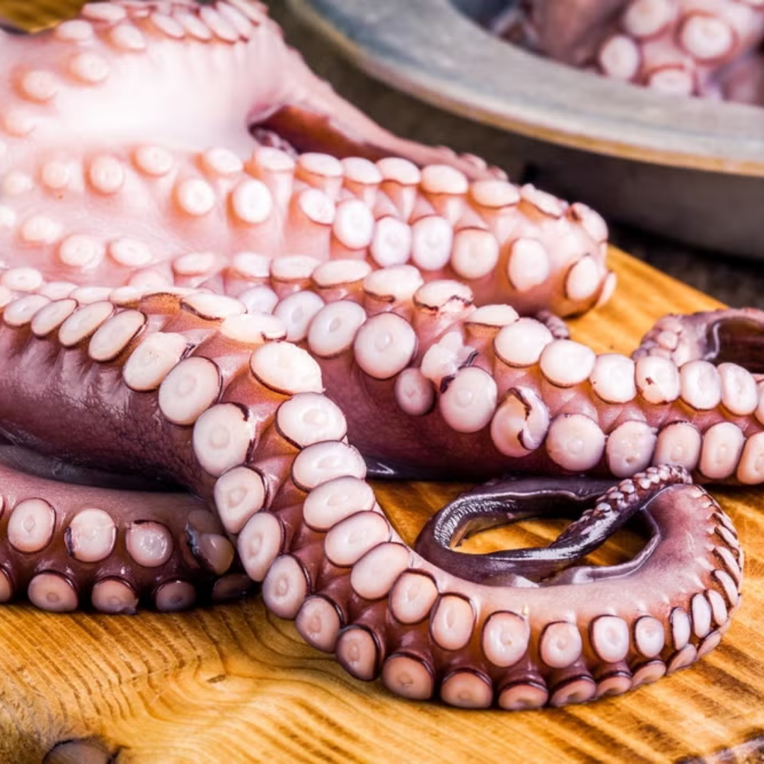Seafood - Octopus