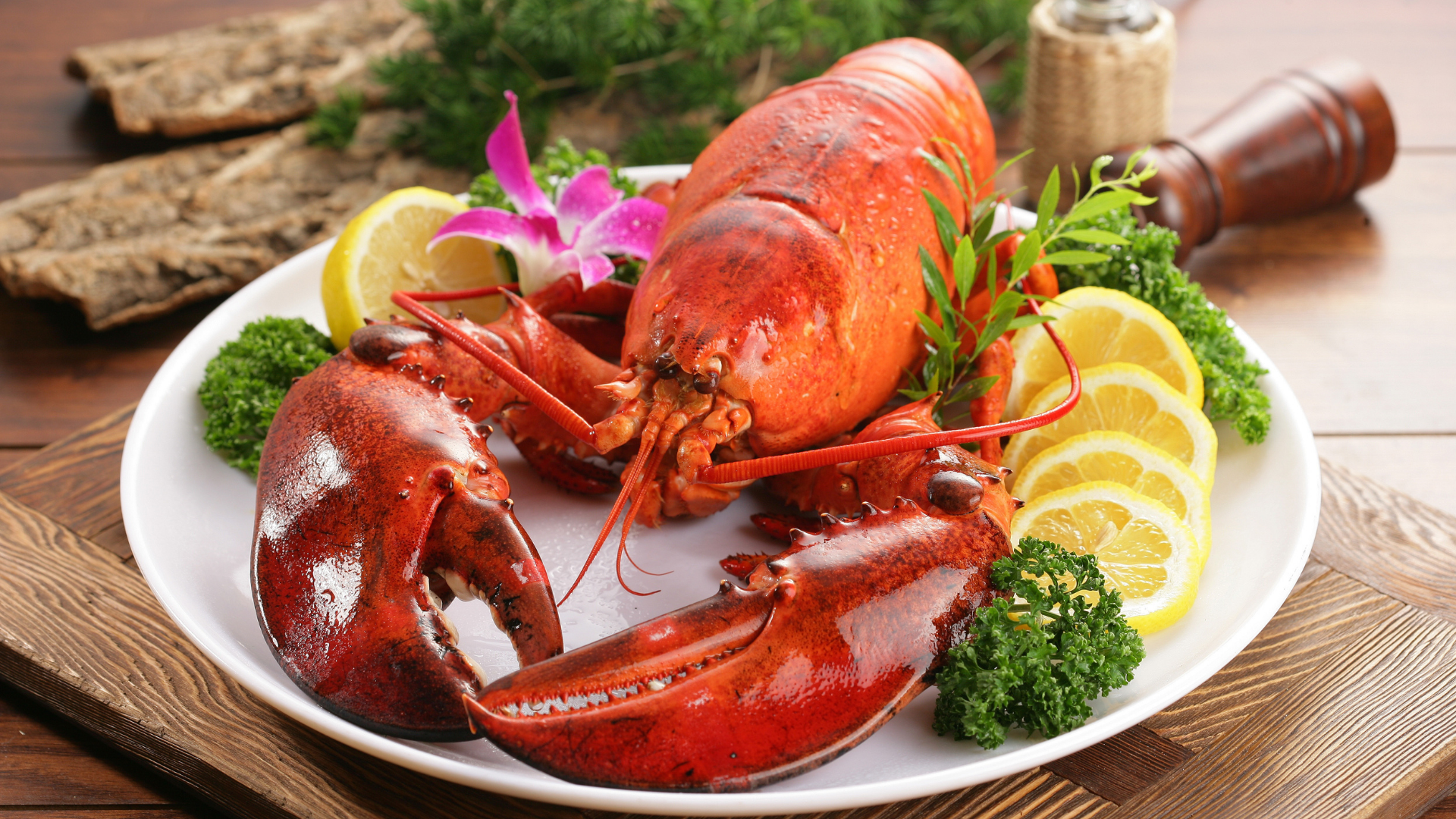 A whole steamed lobster served with lemon slices, fresh parsley, and a decorative orchid on a white plate.